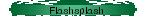 Flashsplash